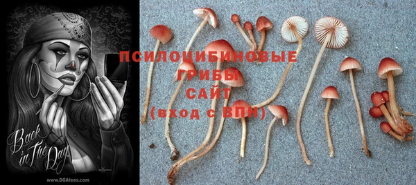 круглые Галич