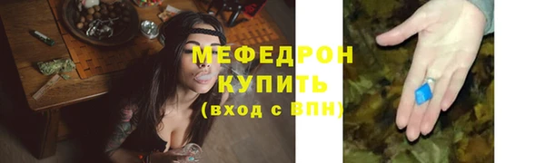 индика Гатчина