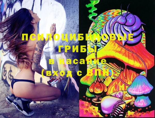 индика Гатчина