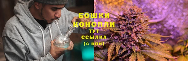 ALPHA PVP Покачи