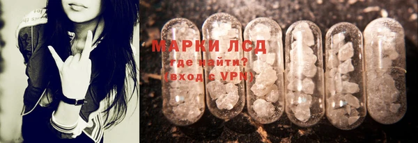 ПСИЛОЦИБИНОВЫЕ ГРИБЫ Пересвет