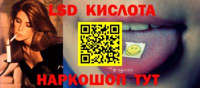 твердый Камышлов