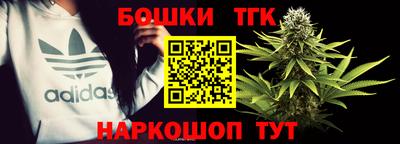 твердый Камышлов