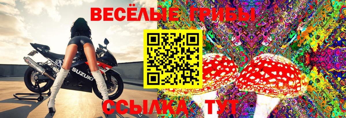Псилоцибиновые грибы GOLDEN TEACHER Старый Оскол